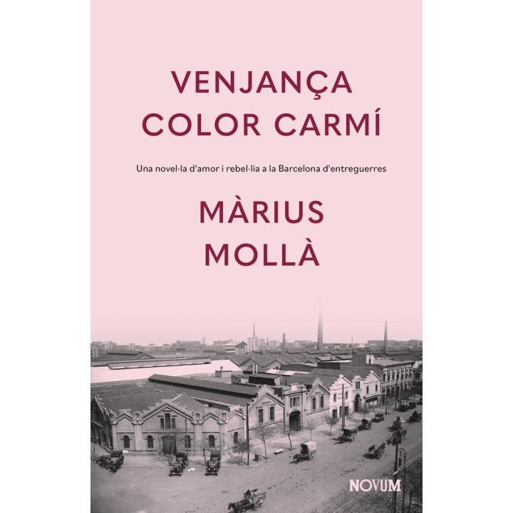 VENJANCA COLOR CARMI