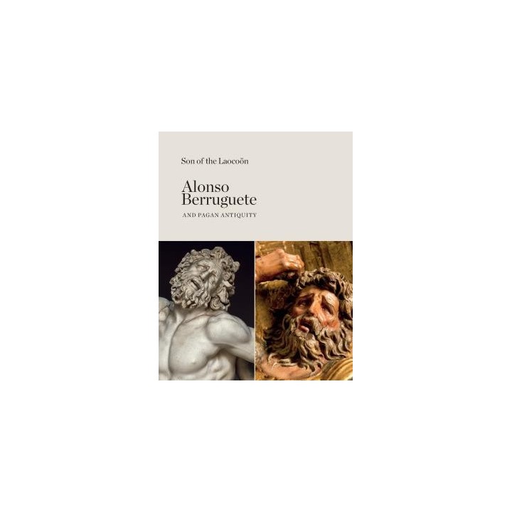 SON OF THE LAOCOÖN. ALONSO BERRUGUETE AND PAGAN ANTIQUITY