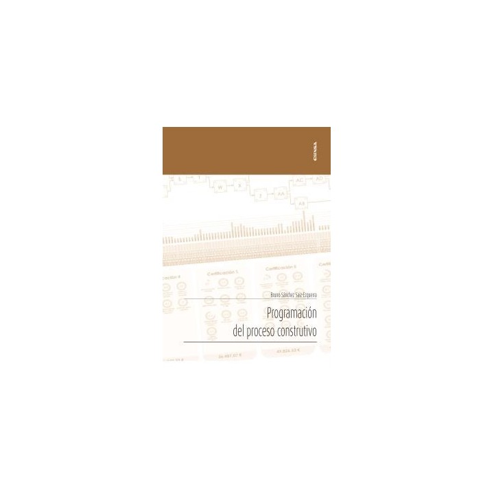 PROGRAMACIÓN DEL PROCESO CONSTRUCTIVO