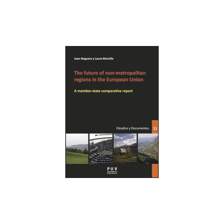 THE FUTURE OF NON-METROPOLITAN REGIONS IN THE EUROPEAN UNION