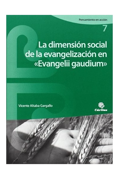La dimensión social de la evangelización en Evangelii gaudium
