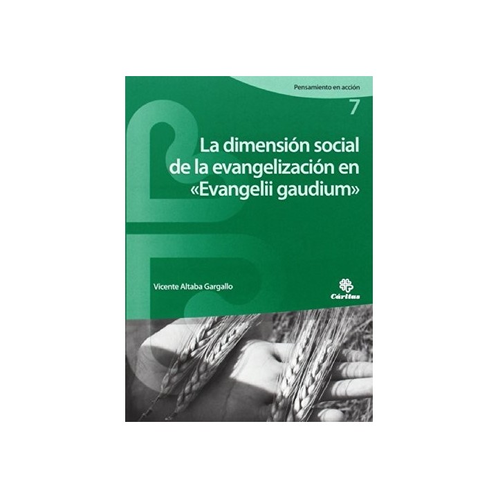 La dimensión social de la evangelización en Evangelii gaudium