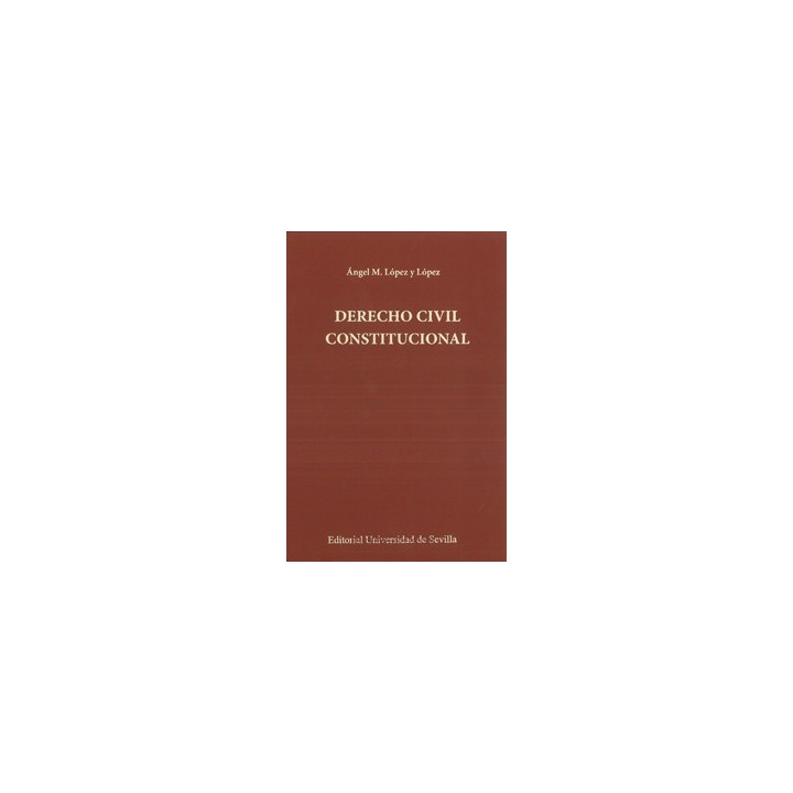 DERECHO CIVIL CONSTITUCIONAL