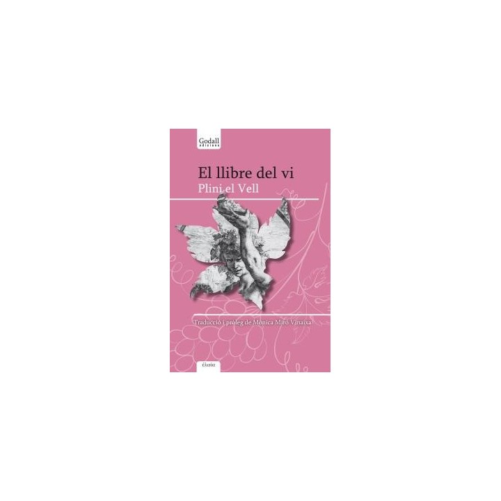 EL LLIBRE DEL VI