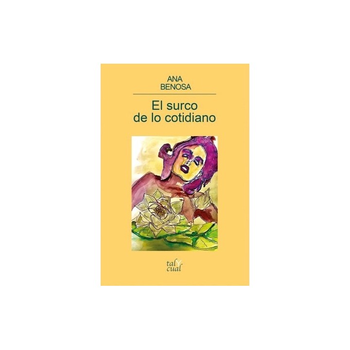 EL SURCO DE LO COTIDIANO
