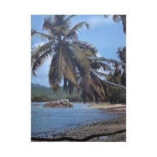 Iles De L'océan Indien