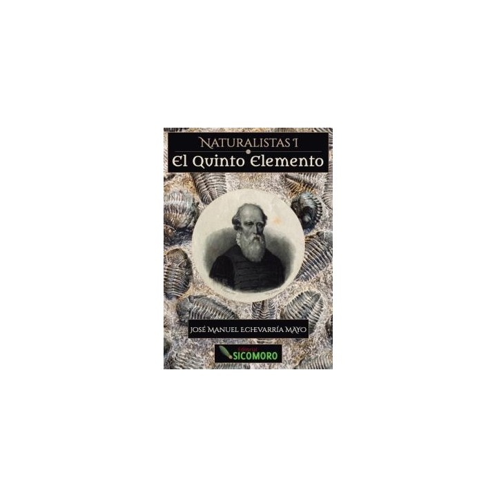 EL QUINTO ELEMENTO