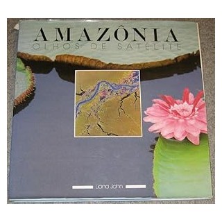 AMAZONIA OLHOS DE SATELITE