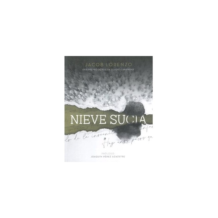 NIEVE SUCIA