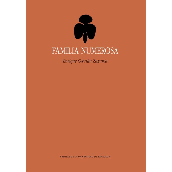 FAMILIA NUMEROSA