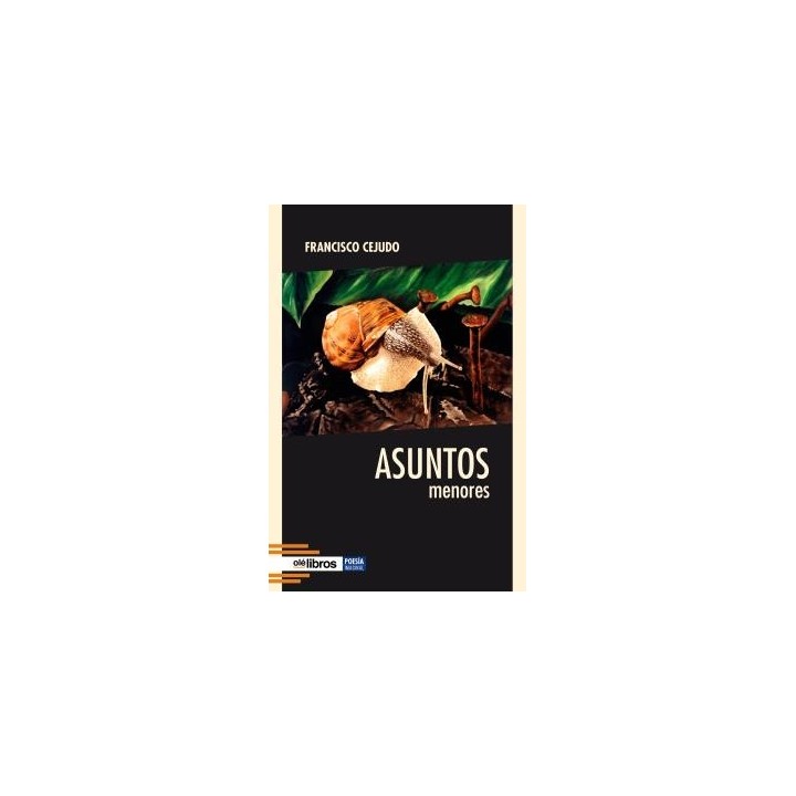 ASUNTOS MENORES