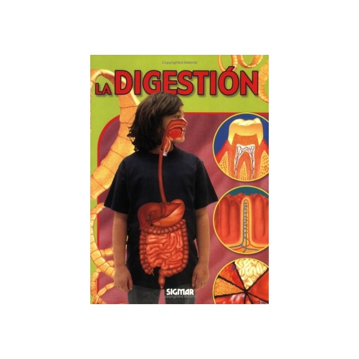 LA DIGESTIÓN