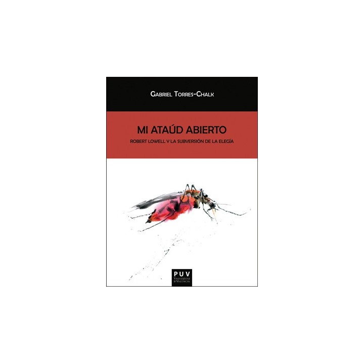 MI ATAUD ABIERTO
