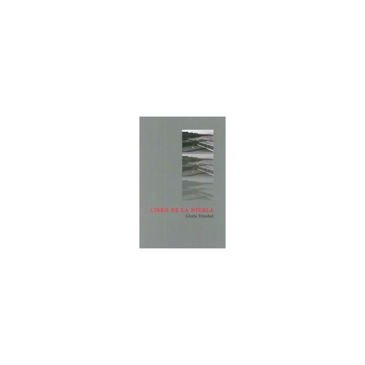 LIBRO DE LA NIEBLA