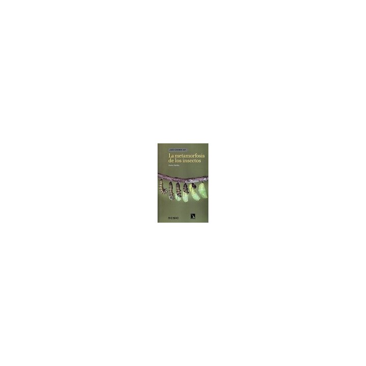 LA METAMORFOSIS DE LOS INSECTOS