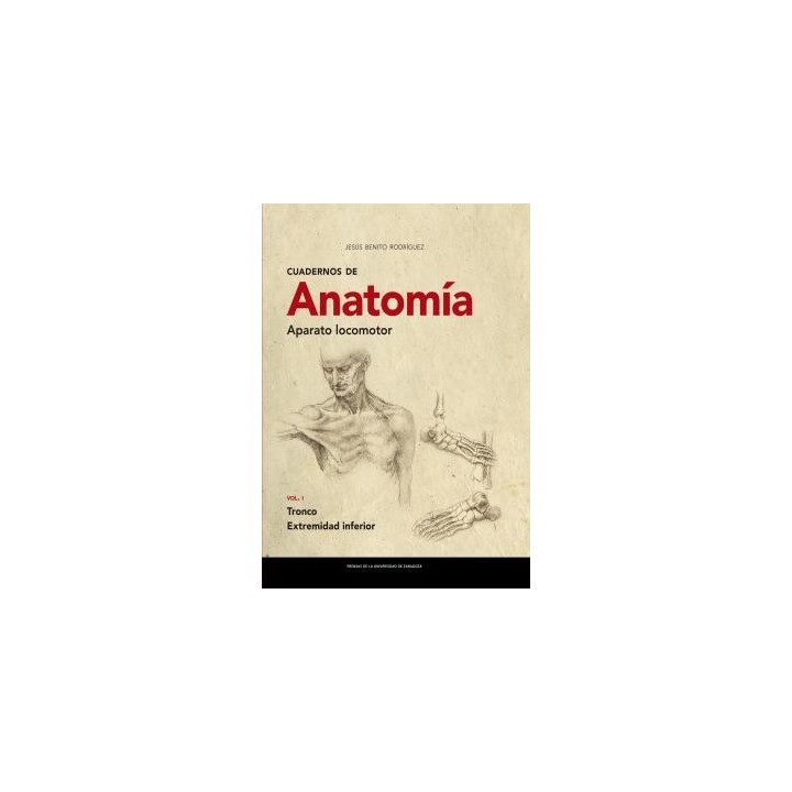 CUADERNOS DE ANATOMÍA. APARATO LOCOMOTOR VOL.1