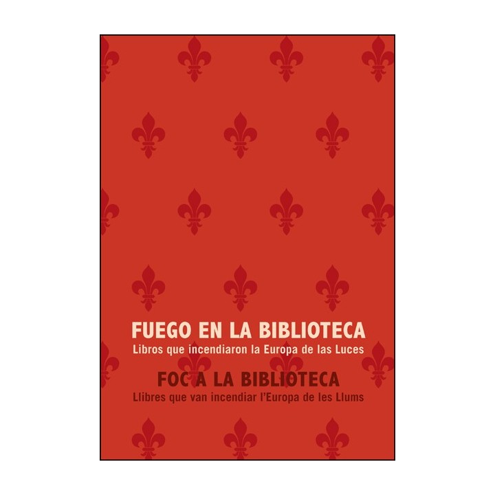 FUEGO EN LA BIBLIOTECA