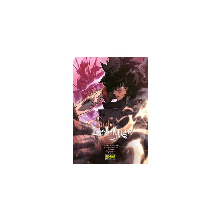 SOLO LEVELING 12