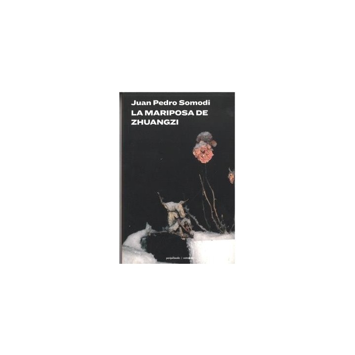 LA MARIPOSA DE ZHUANGZI