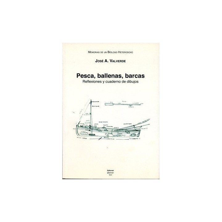 MEMORIAS DE UN BIÓLOGO HETERODOXO. TOMO VII. PESCA, BALLENAS, BARCAS: REFLEXIONES Y CUADERNOS DE DIBUJOS