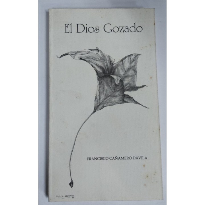 El Dios gozado. Poemas navideños y villancicos