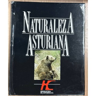 NATURALEZA ASTURIANA HIDROELECTRICA DEL CANTABRICO