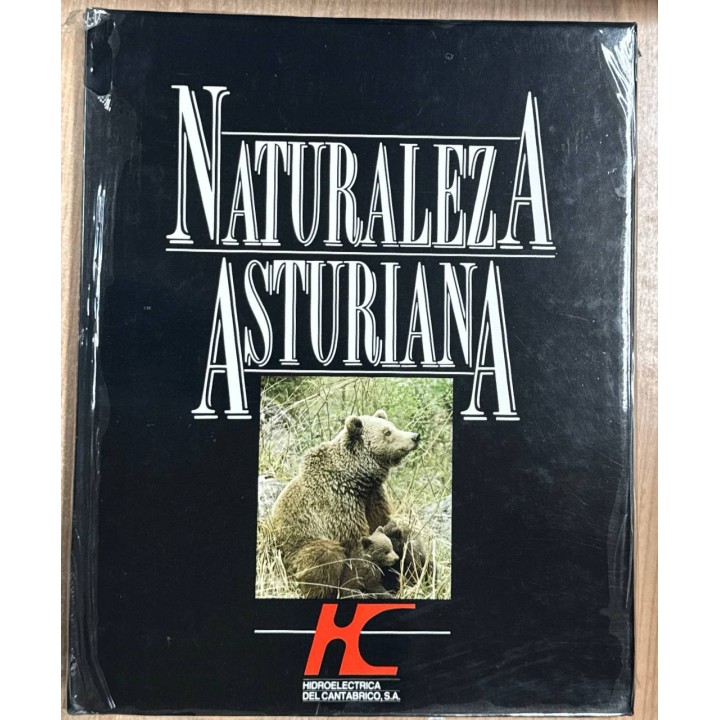 NATURALEZA ASTURIANA HIDROELECTRICA DEL CANTABRICO