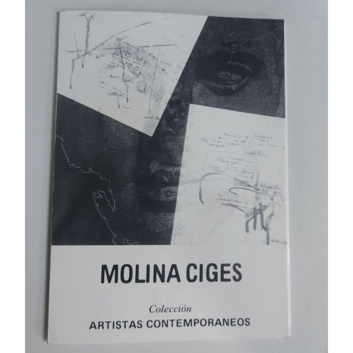 Recopilacion de escritos sobre la obra de Molina Ciges
