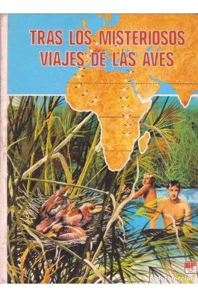 TRAS LOS MISTERIOSOS VIAJES DE LAS AVES