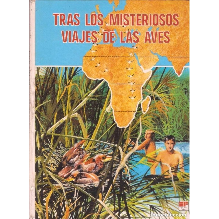 TRAS LOS MISTERIOSOS VIAJES DE LAS AVES
