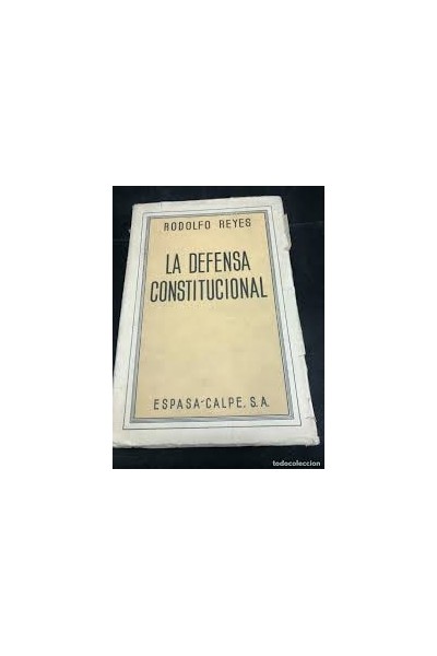 LA DEFENSA COSTITUCIONAL. RECURSOS DE INCONSTITUCIONALIDAD Y AMPARO.