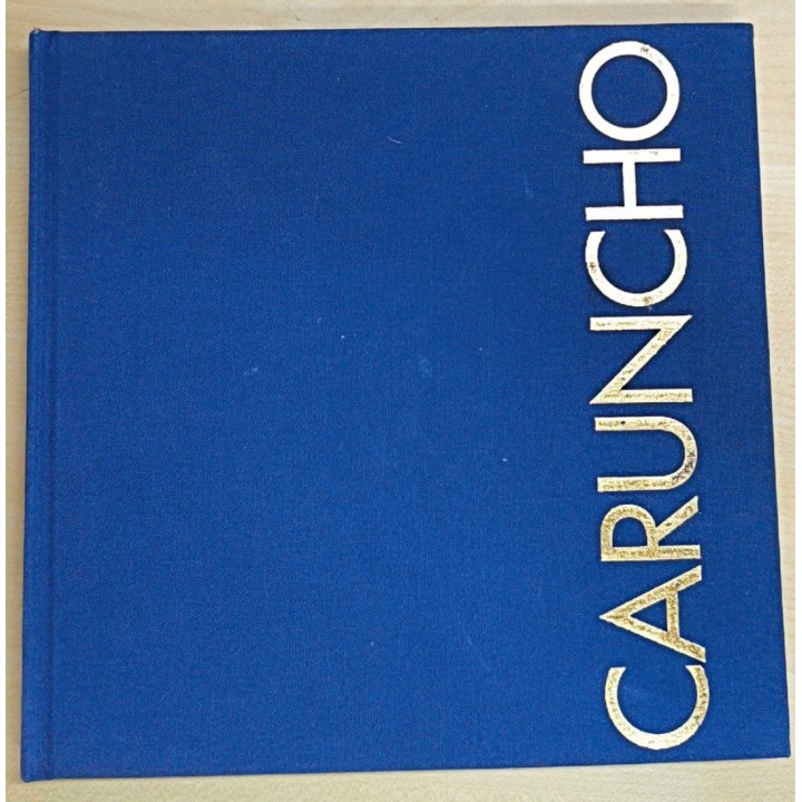 Luis Caruncho: Palacio de Exposiciones Kiosco Alfonso, La Coruña Octubre-Noviembre 1995