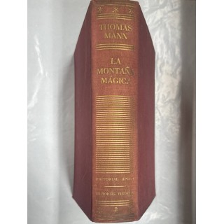 LA MONTAÑA MÁGICA