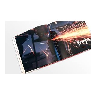 Luis Caruncho. Metamorfosis.