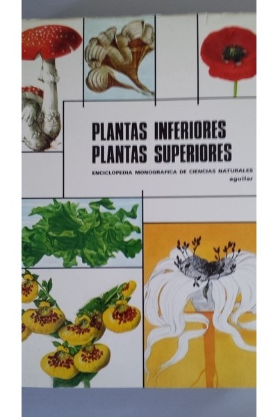 PLANTAS INFERIORES, PLANTAS SUPERIORES