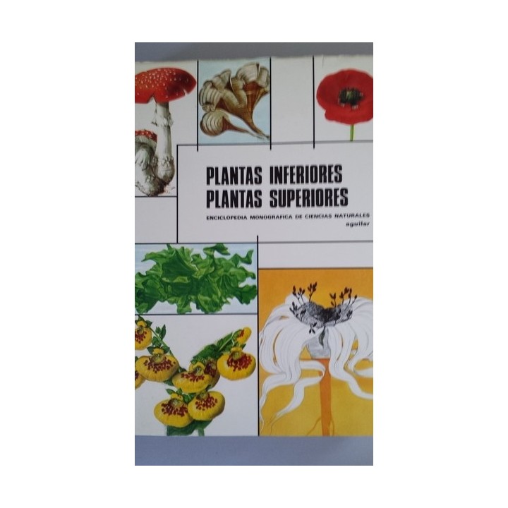 PLANTAS INFERIORES, PLANTAS SUPERIORES