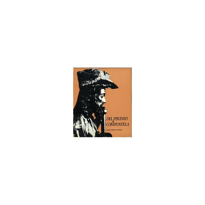 DEL PIRINEO A COMPOSTELA. NUEVA GUIA DEL CAMINO DE SANTIAGO.