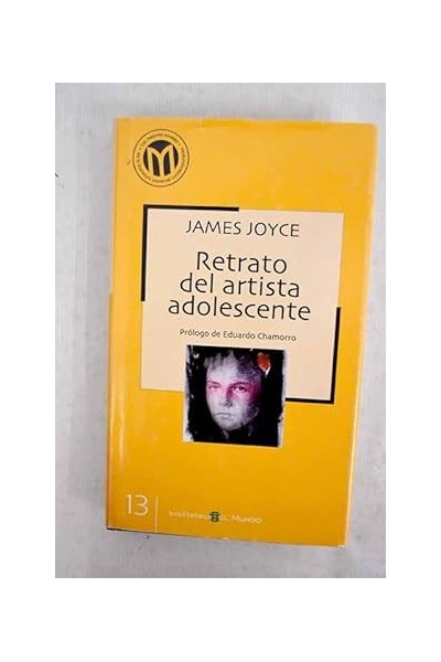 Retrato Del Artista Adolescente