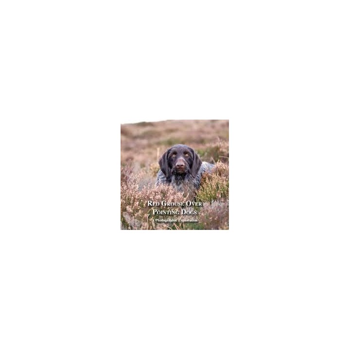 Red Grouse Over Pointing Dogs. A Photographic Exploration.