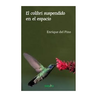 El colibrí suspendido en el espacio