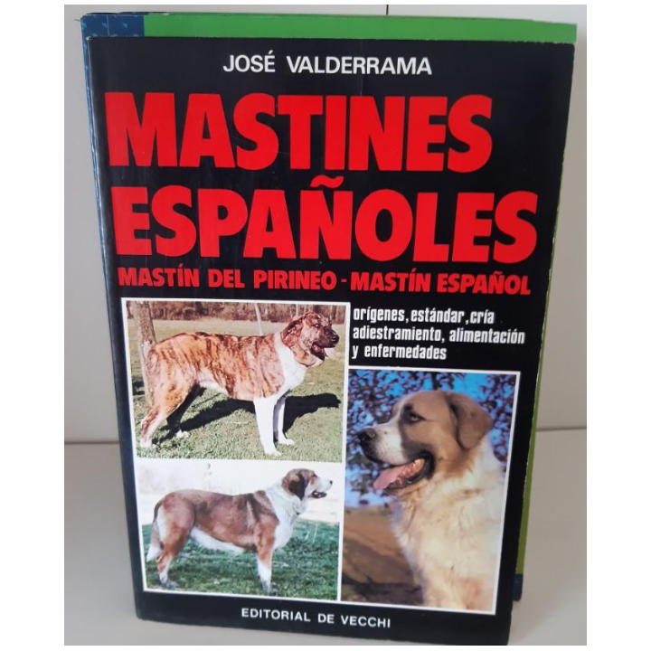 Mastines españoles. Mastin del pirineo. Mastin Español