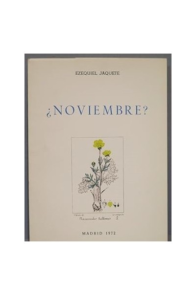 ¿NOVIEMBRE? - Ezequiel Jaquete.