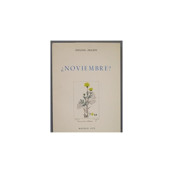 ¿NOVIEMBRE? - Ezequiel Jaquete.