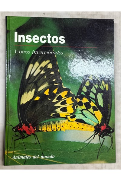 Animales del mundo: Insectos y otros invertebrados.