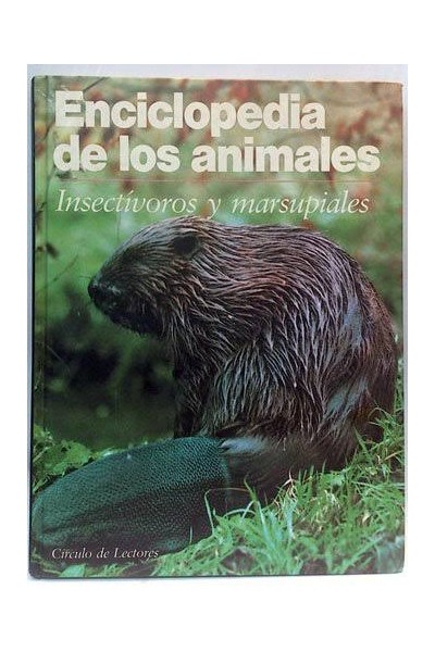 Insectívoros y marsupiales