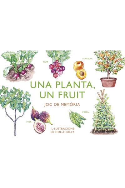 UNA PLANTA UN FRUIT