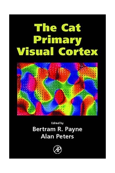 THE CAT PRIMARY VISUAL CORTEX