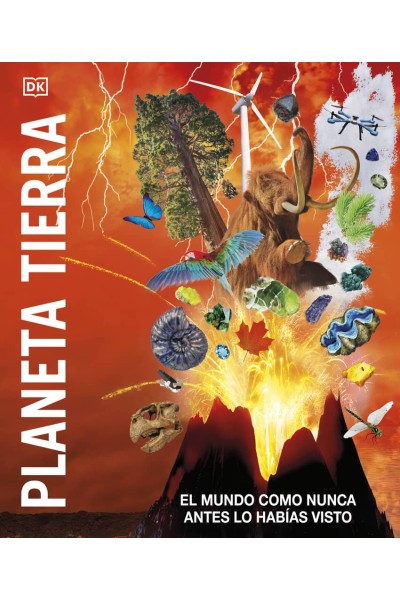 PLANETA TIERRA