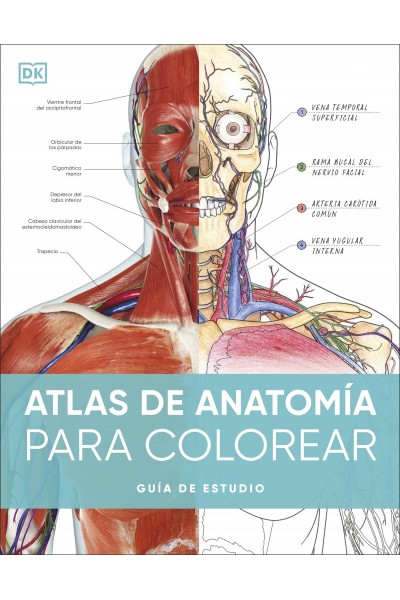 ATLAS DE ANATOMÍA PARA COLOREAR