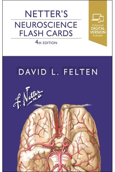 NETTER´S NEUROSCIENCE FLASH CARDS